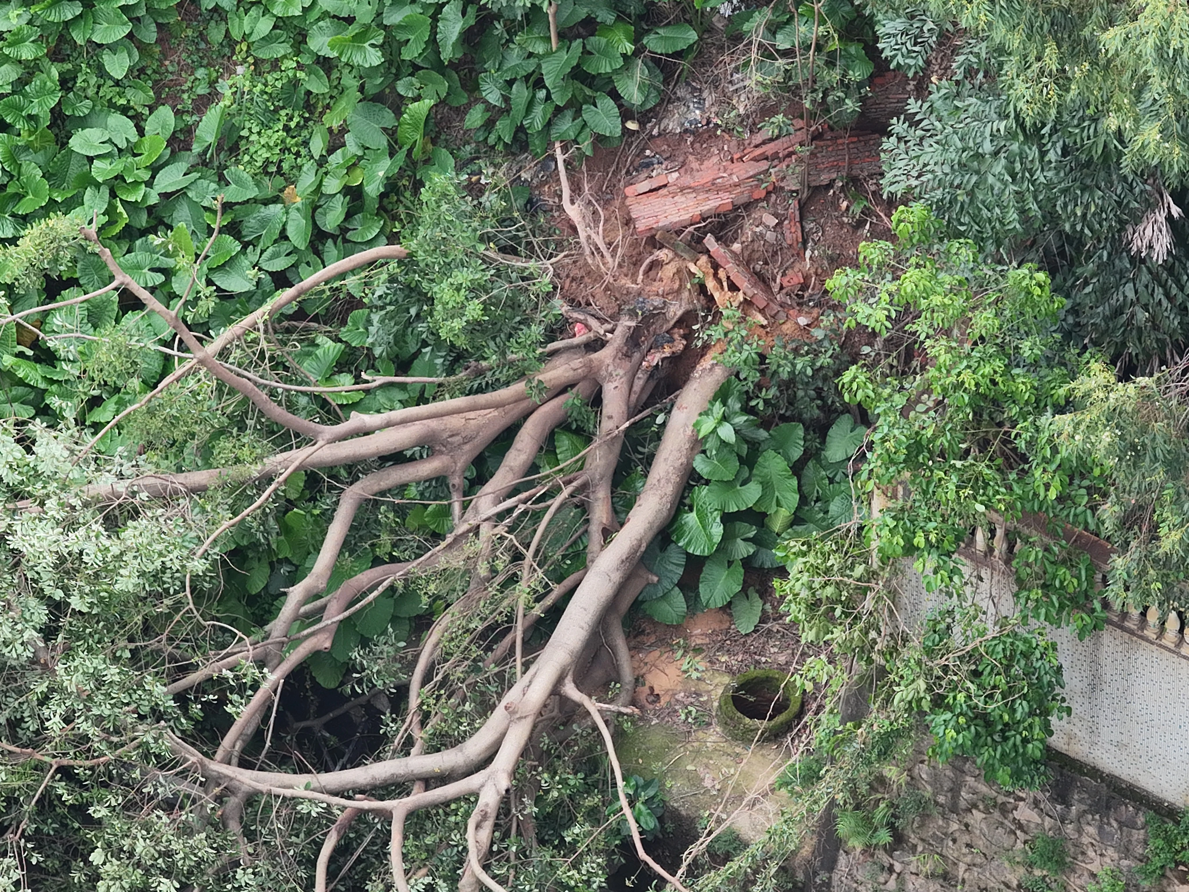 台风前布防，台风后复查&mdash;&mdash;翼飞鸿天&ldquo;双阶段&rdquo;巡查筑牢地灾防线